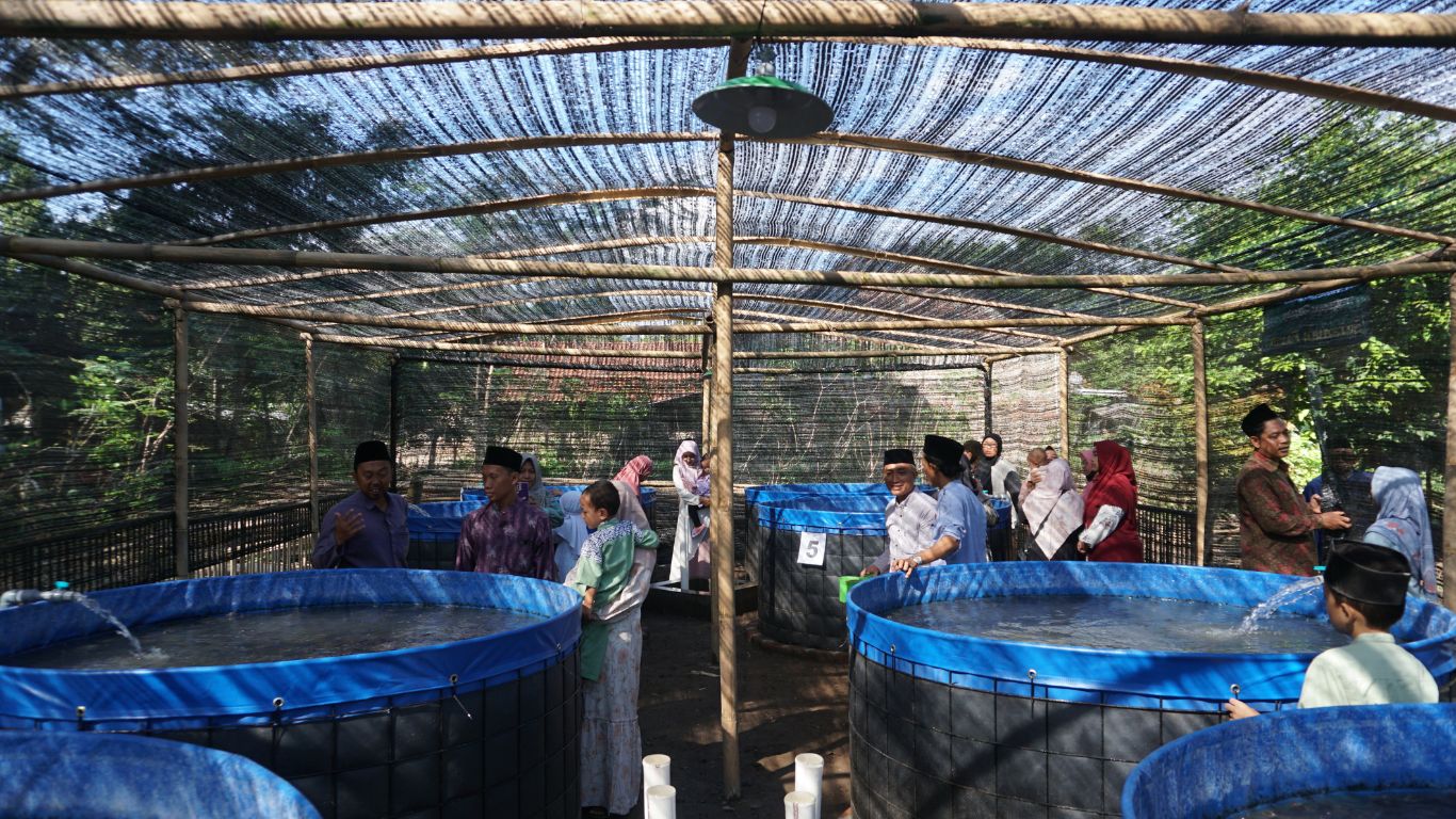 MI Sananul Ula Launching Badan Usaha Milik Madrasah “Salaman Farm”
